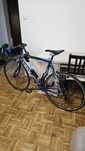 Trek DCLV Carbon