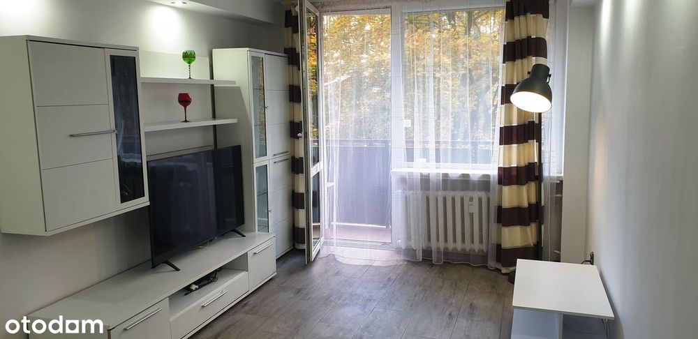 Fajna lokalizacja i widok z okien na zieleń.Tramwaj/bazarek/sklep 2min