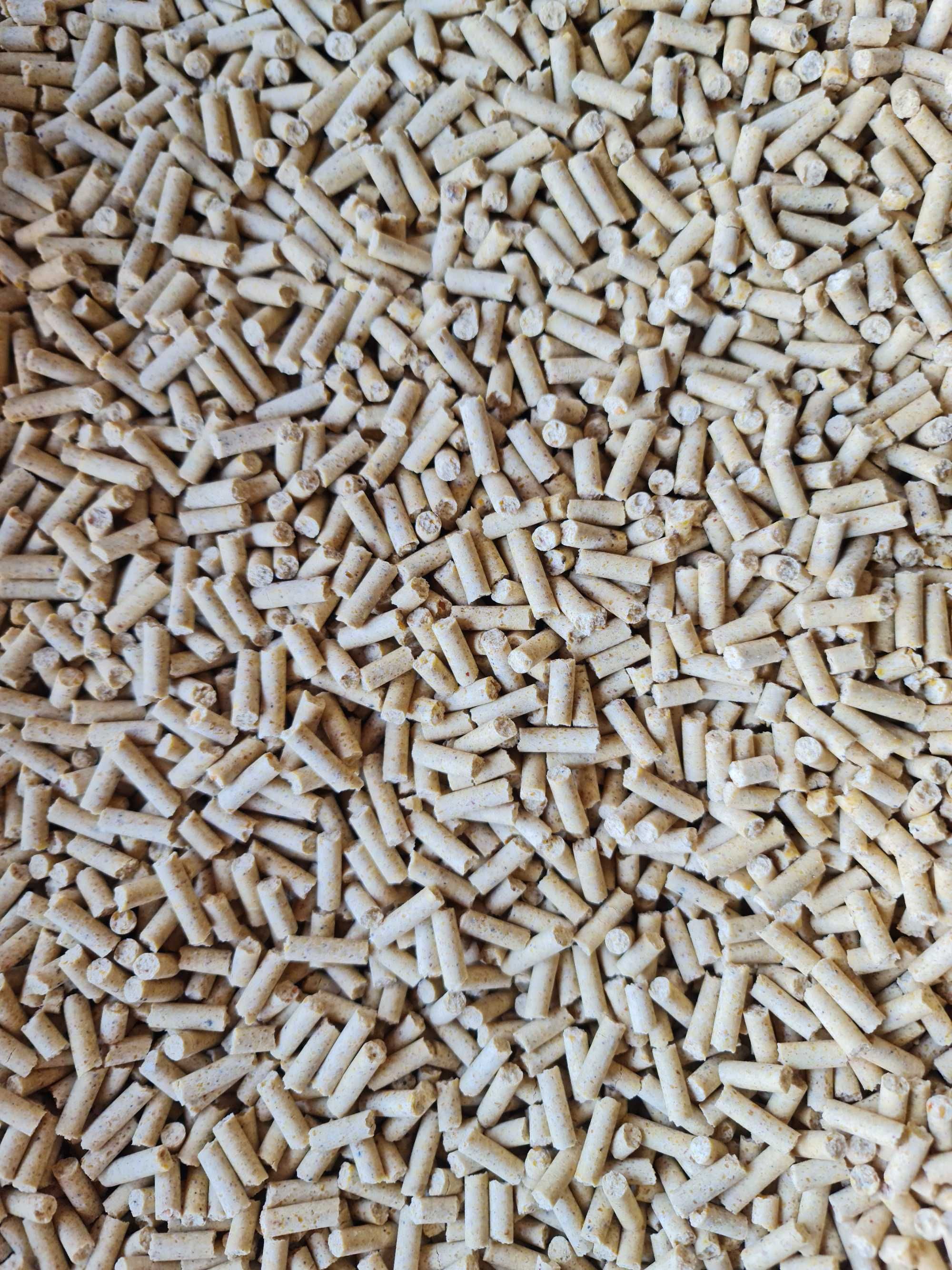 karma pasza dla ryb pellet zanętowy granulat paszowy zanęta pokarm
