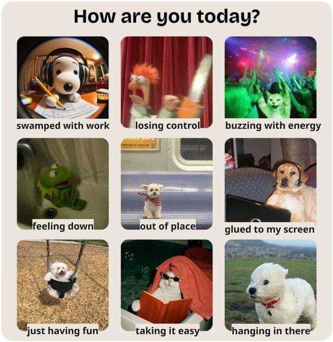 Репетитор англійської мови