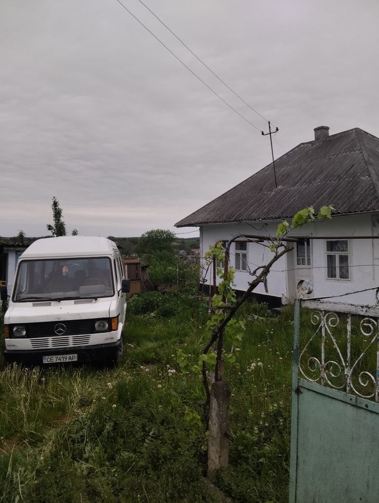 Груз пас дві тисяч