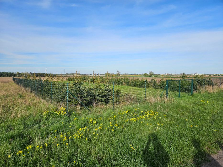 Sprzedam działkę budowlaną 1000m2