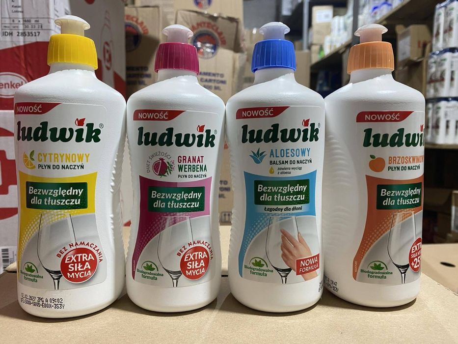 Засіб для миття посуду Ludwik 900 мл