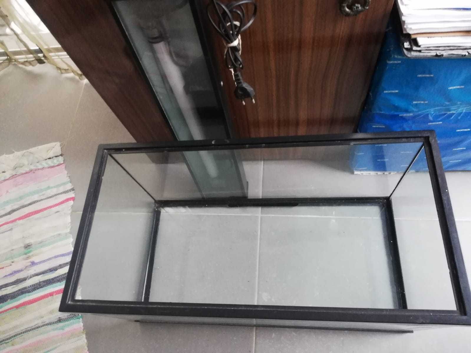 Aquário de tamanho médio
