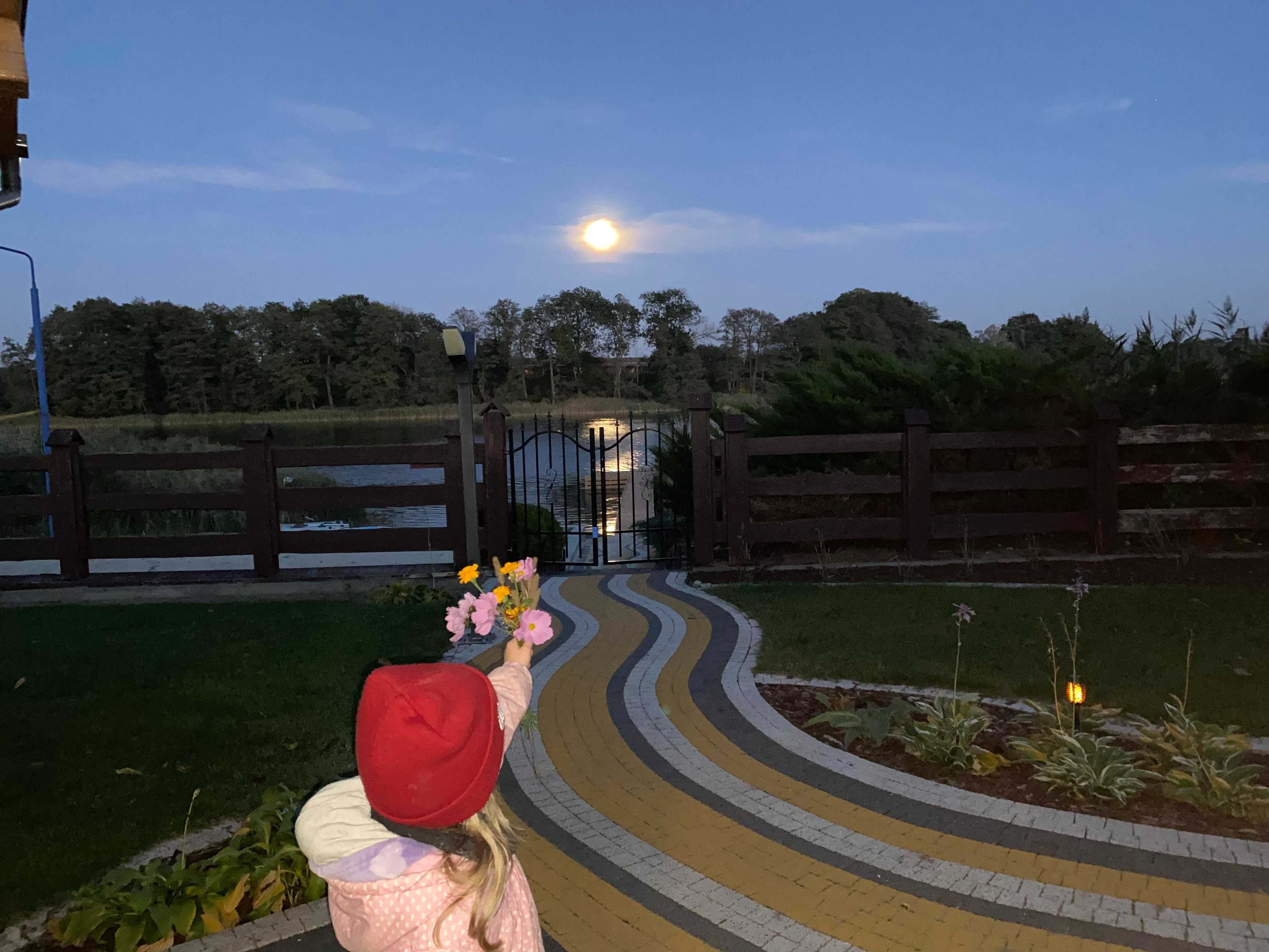 Sosenkowo Nowieczek Domek nad jeziorem, własna linia brzegowa