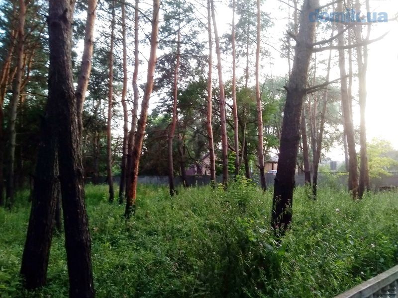 Продам участок в с. Вита Почтовая 16 соток