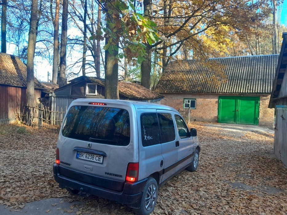 Продам харошого пижика