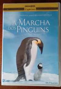 Filme DVD "A Marcha dos Pinguins" (Selado)