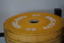 Anilhas Discos Bumper Bolachas para Crossfit e Halterofilismo Loaded