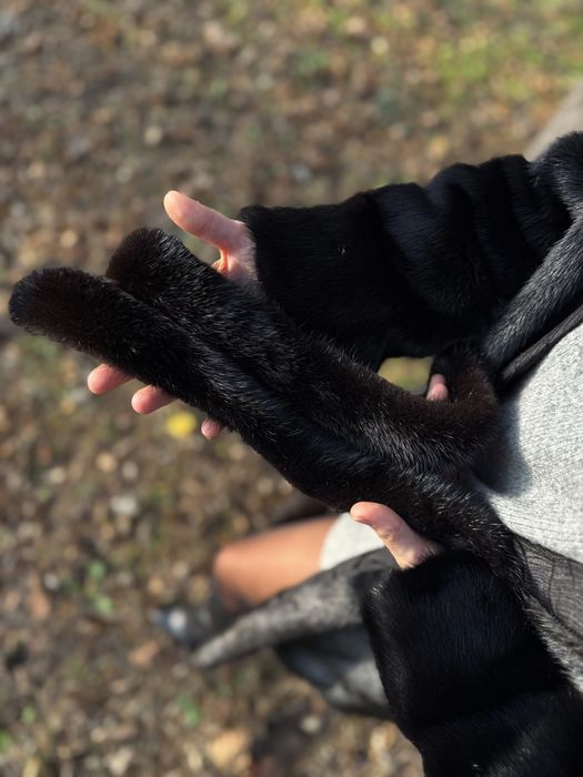 Шуба норкова. Греція