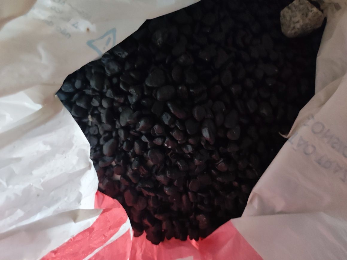Aquário Tartaruga com acessórios