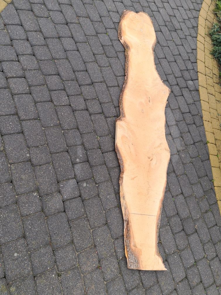 Blat z surowego drewna. Duży plaster drewna.
