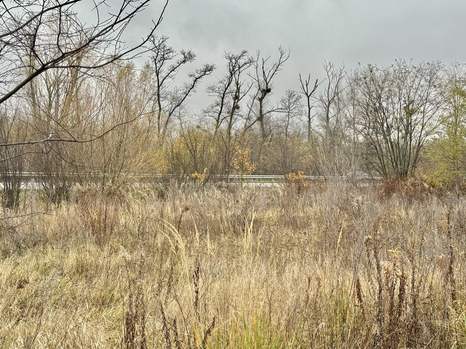 Земельна ділянка 20,17 га! с.Небелиця