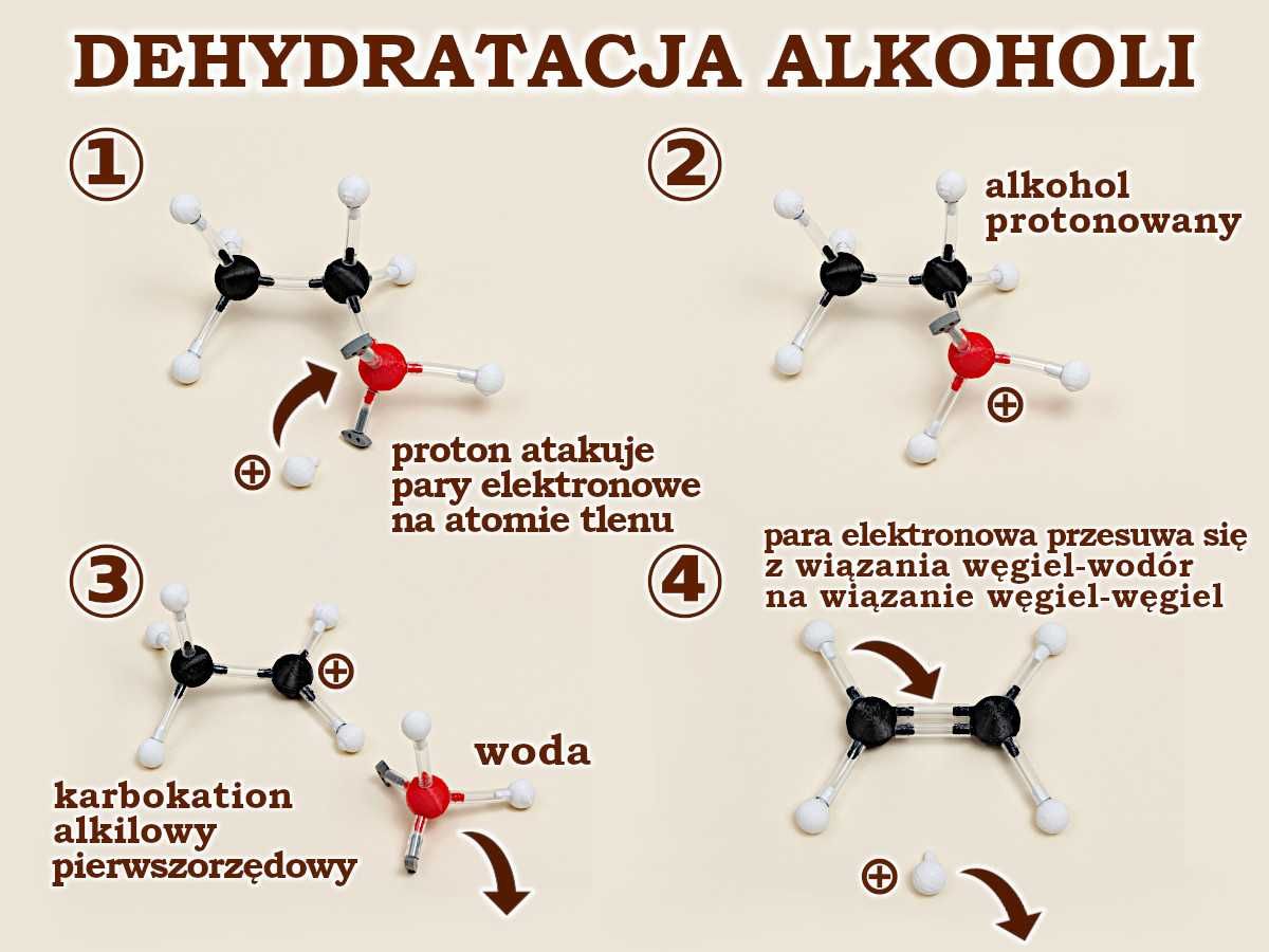 Modele atomów CHEMIA ORGANICZNA szkoła średnia, 150 elementów