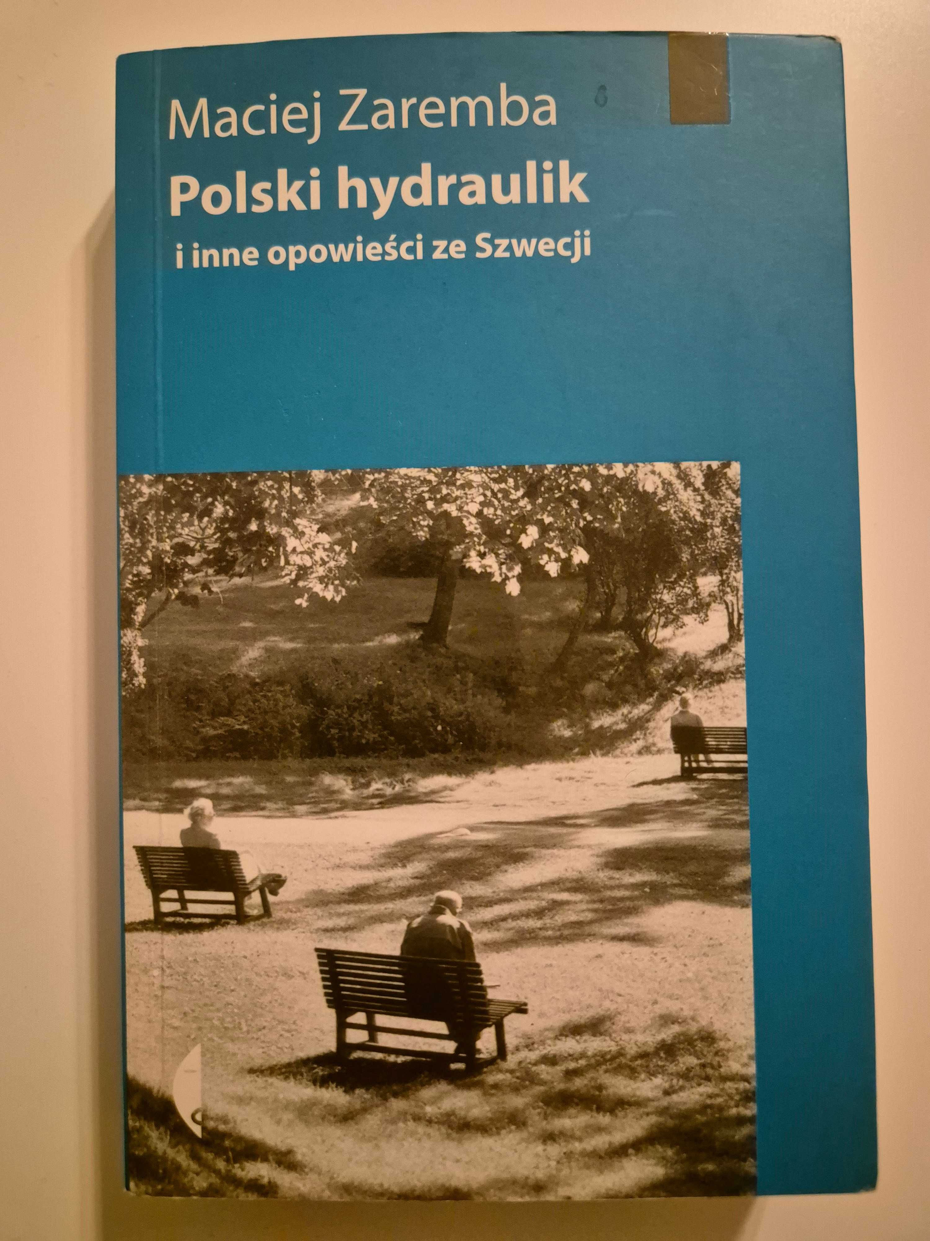 Polski hydraulik i inne opowieści ze Szwecji Maciej Zaremba