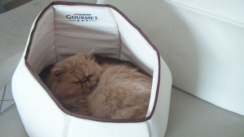 Cama GOURMET que gatos adoram