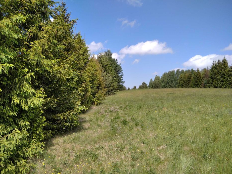 Sprzedam działkę 1000 m².