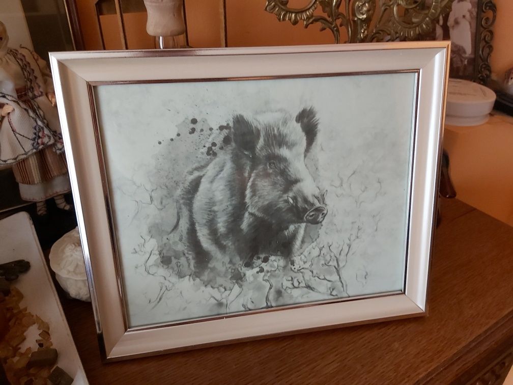 Dzik odyniec wycinek przelatek grafika myśliwska łowiecka polowanie.