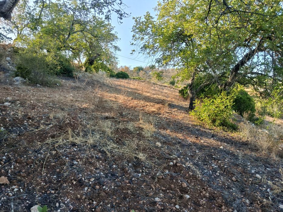 Terreno rústico Boliqueime
