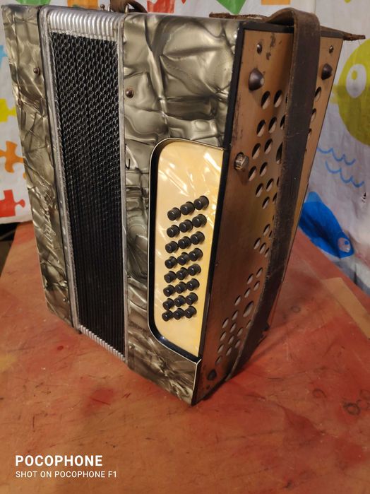 Akordeon Sibylla Brandt