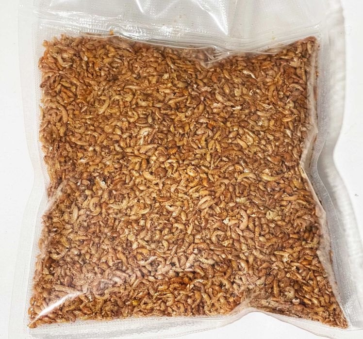 Balmax, Kiełż (gammarus) suszony / dried gammarus / 100g.