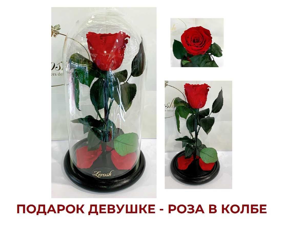 Подарок девушке -Живая Роза в КОЛБЕ - не сохнет 5 лет - Троянда
