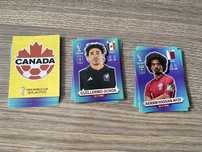 Naklejki Panini Qatar 2022