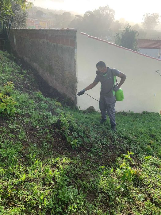 Temos serviços de jardinagem