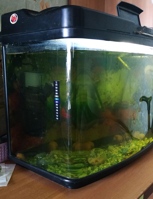 Акваріум 60л з кришкою б/у