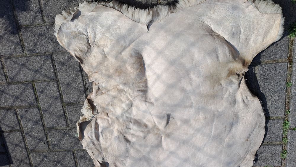 Naturalna skóra owcza duża