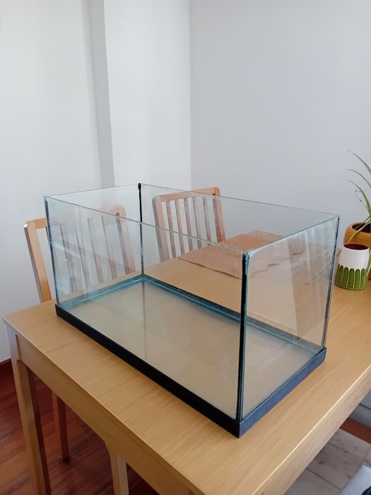 Aquário/Terrário
