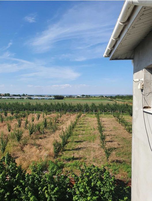 Срочно.Продам дом Одесская обл.240м.кв+агробизнес