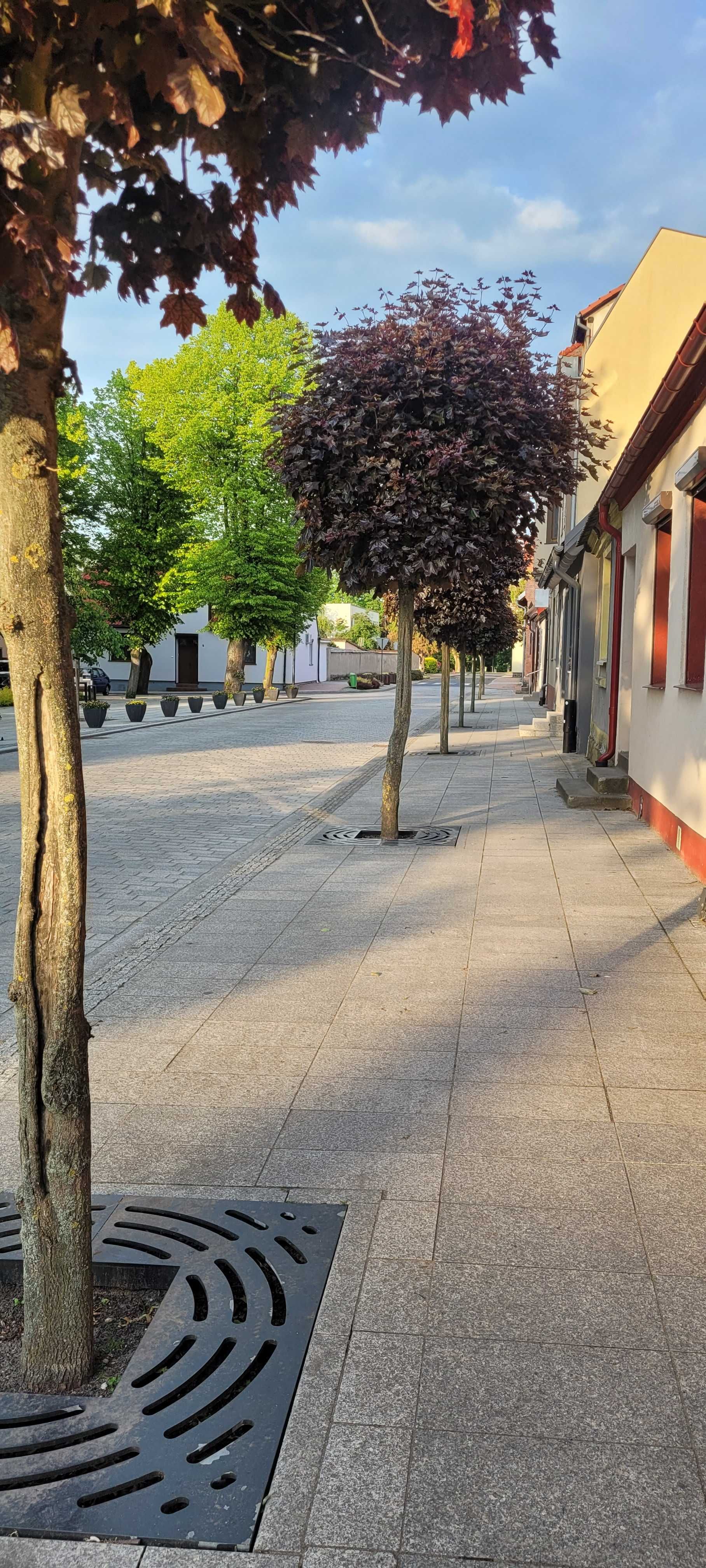 Noclegi Powidz całoroczne