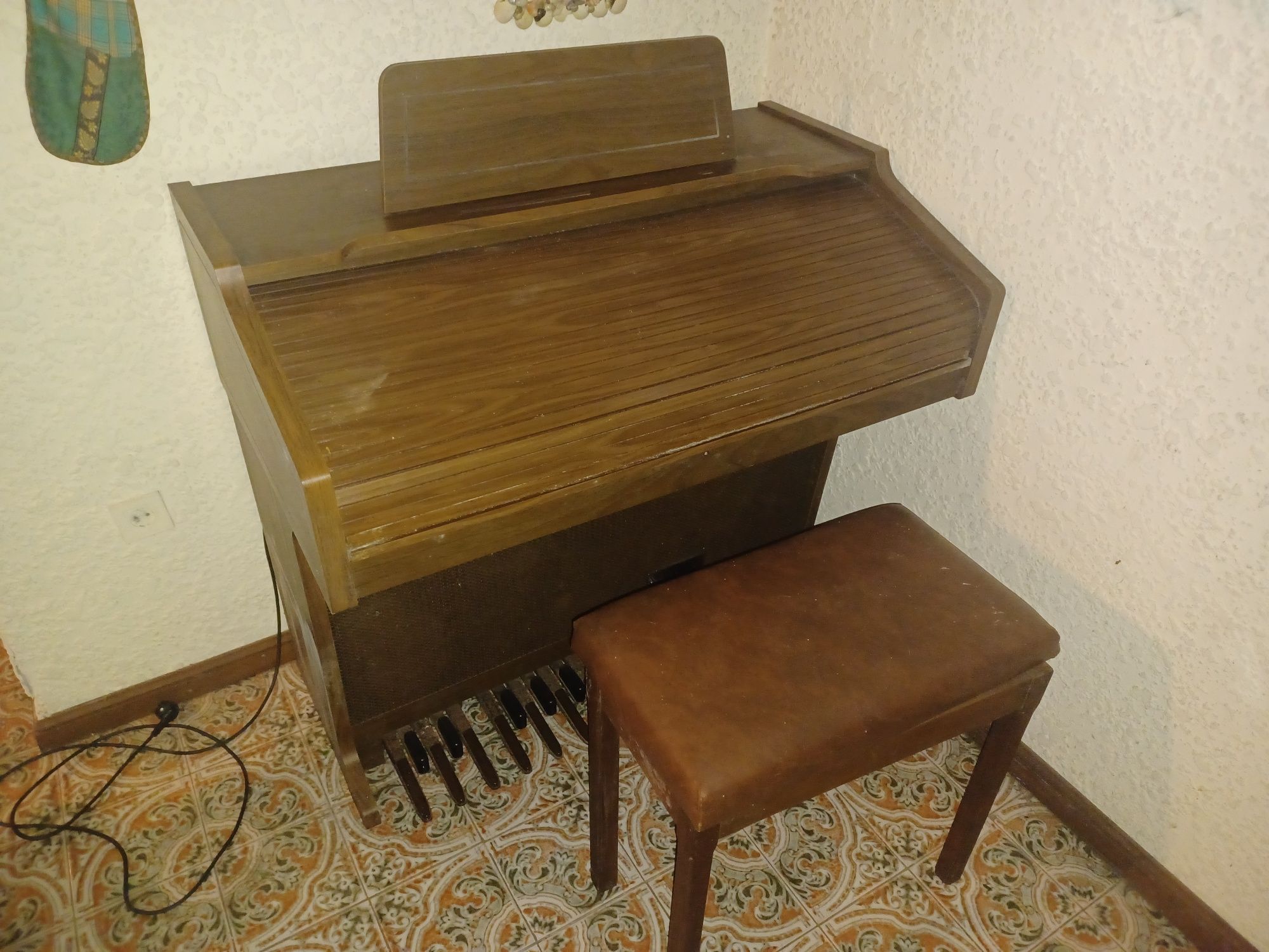 Órgão Vintage para Restauro