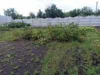 Продам участок  7,5 соток  в Новой Куриловке , с/о Ориль