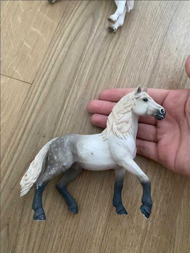 2 konie schliech