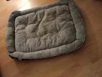 Cama pet para cao novo