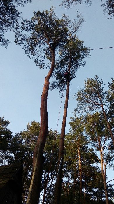 Wycinka drzew podnośnik, usługi ogrodnicze, rębak, podnośnik 30m !