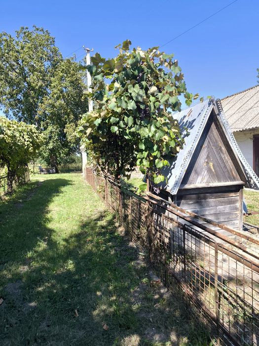 Продам будинок заходь і живи