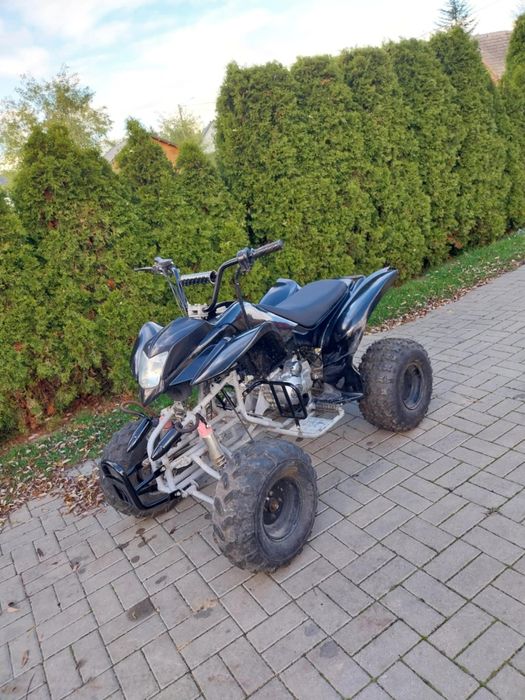 Quad 200/250 Bashan