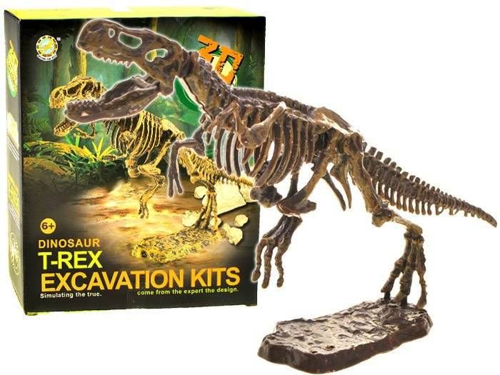 Szkielet Dinozaur Trex 3D Zestaw Figurka Dinozaury