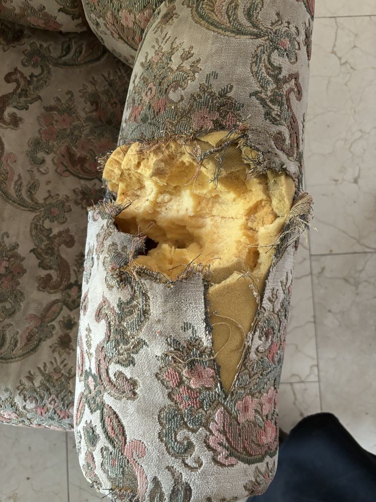 Wypoczynek sofa fotel Ludwik Ludwikowski Wlochy włoski