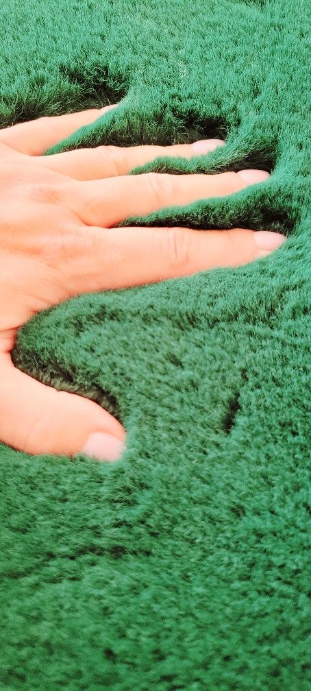 Piękny dywan butelkowa zieleń
