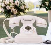 Telefone audio guestbook em branco