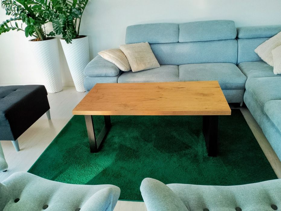 Dywan butelkowa zieleń, ciemnozielony do salonu