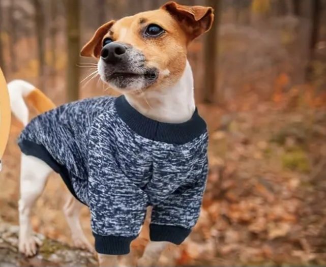 Свитер, кофта для собак на флисе