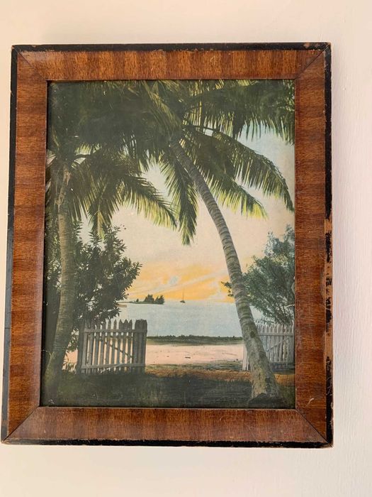 Obraz palma morze pejzaż