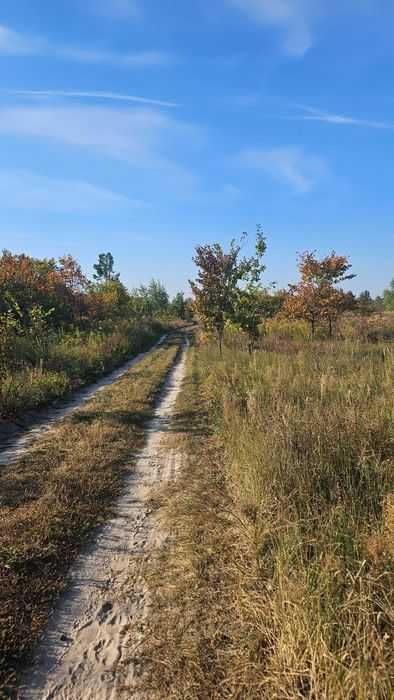 Ділянка 25 соток ОСГ Нові Петрівці, масив Молодіжний, Музей
