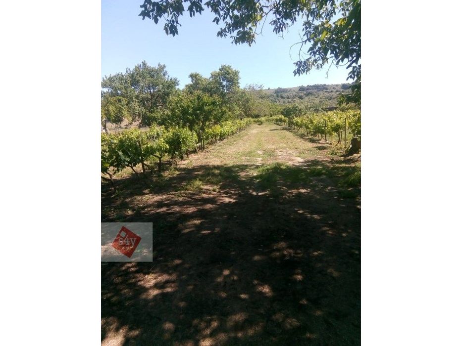 Terreno com 4.400m2 na Quinta do Anjo