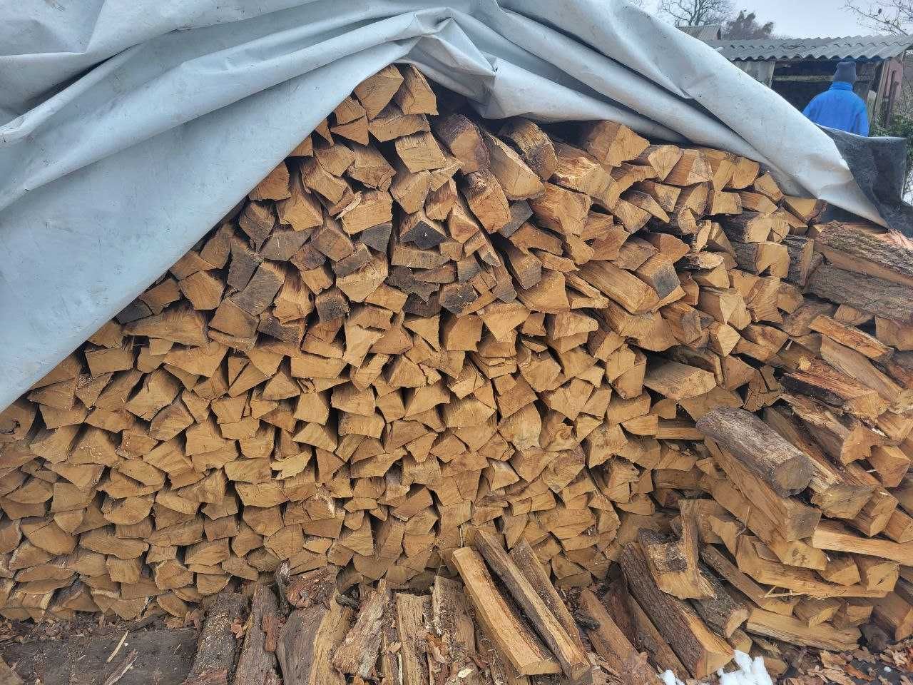 Дрова дуб (колоті, сухі)